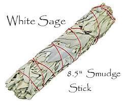 White Sage Smudge Stick - Swaye Tea
